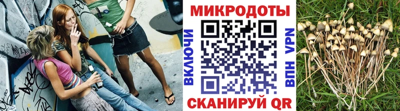 Псилоцибиновые грибы MAGIC MUSHROOMS Олёкминск