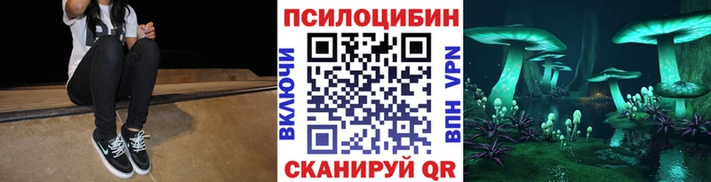 shop клад Олёкминск Псилоцибиновые грибы MAGIC MUSHROOMS
